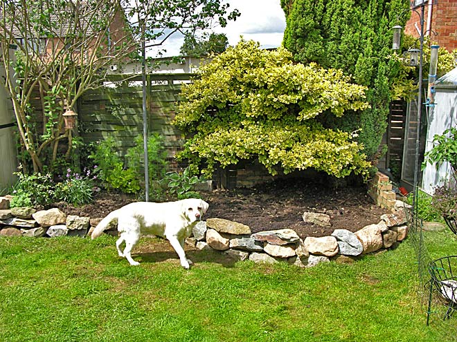 Rear garden - Phase 1 Preparation - puppy
