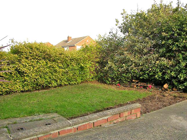 Front garden - View 1