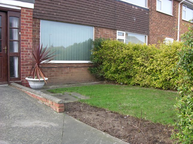 Front Garden - View 2