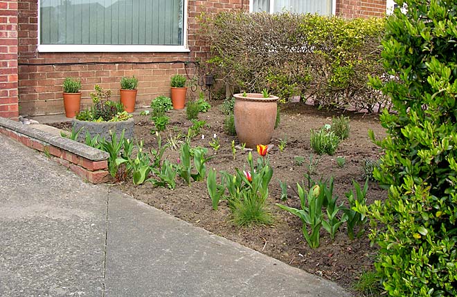 Front Garden - View 2a