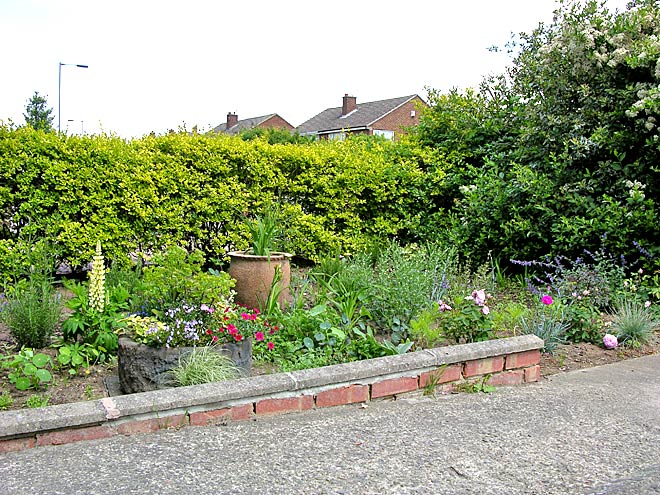 Front Garden - View 1a (1)