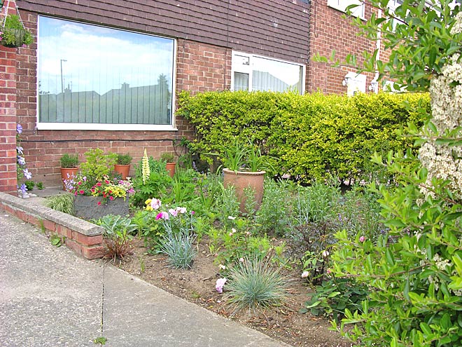 Front Garden - View 2b