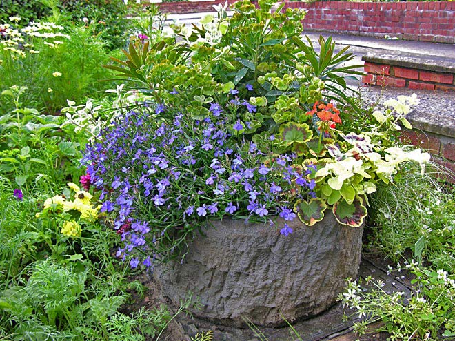 Front Garden - Oval Planter