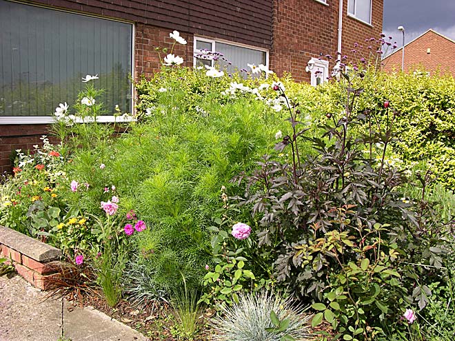 Front Garden - View 2d