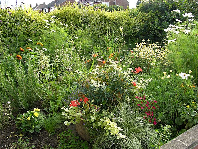 Front Garden - View 2d